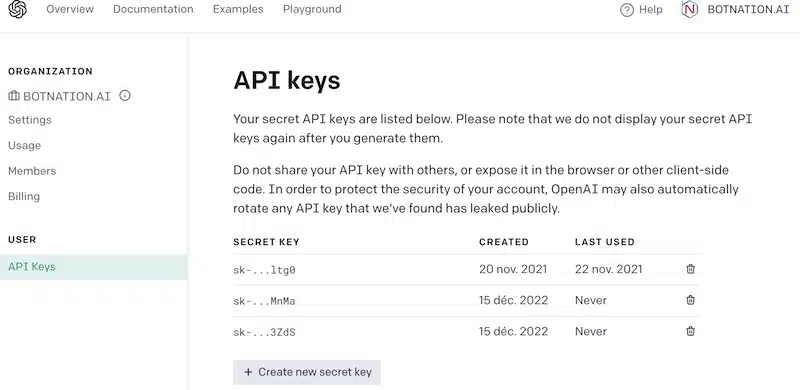 openai api key