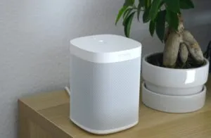 voicebot sonos