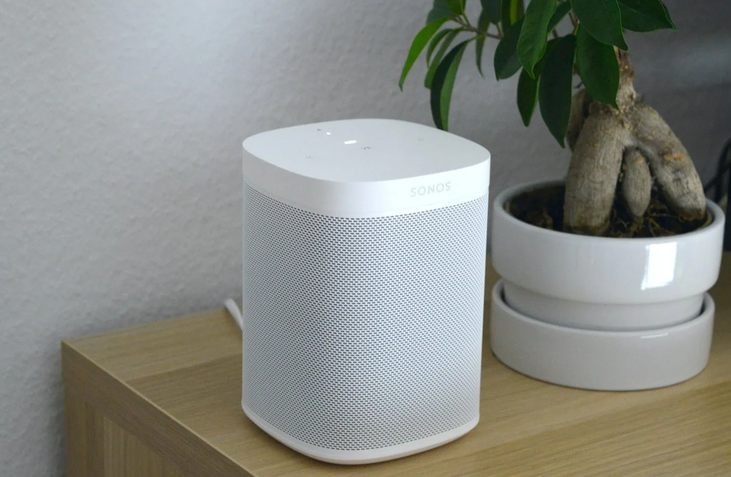 voicebot sonos