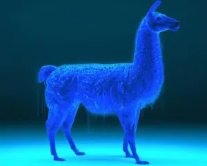 meta llama