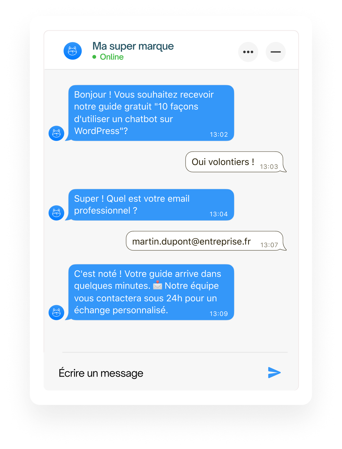 botnation-canal-worpdress-integration-crm-emailing-outils