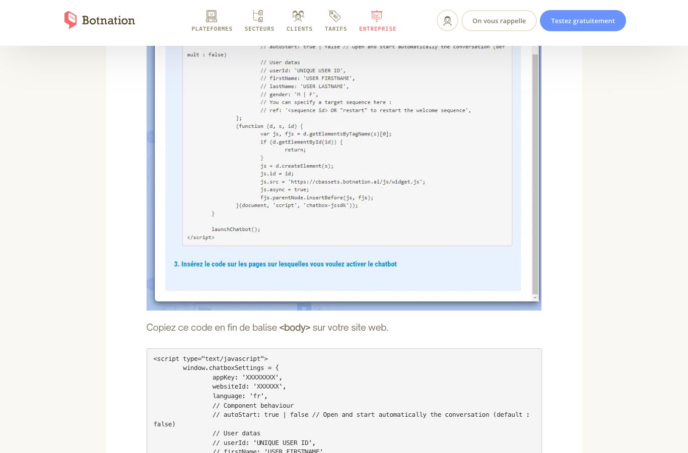 Page d’aide Botnation montrant la consigne de copier le code en fin de balise body, avec le bloc de code à recopier sur son site